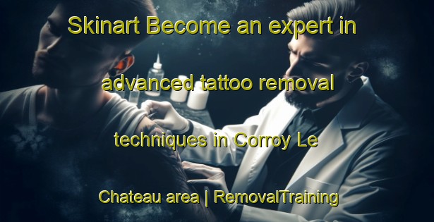 Skinart Become an expert in advanced tattoo removal techniques in Corroy Le Chateau area | RemovalTraining | RemovalClasses | SkinartTraining-Belgium